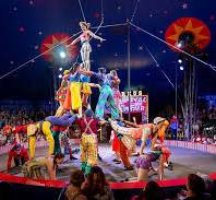 circus performances